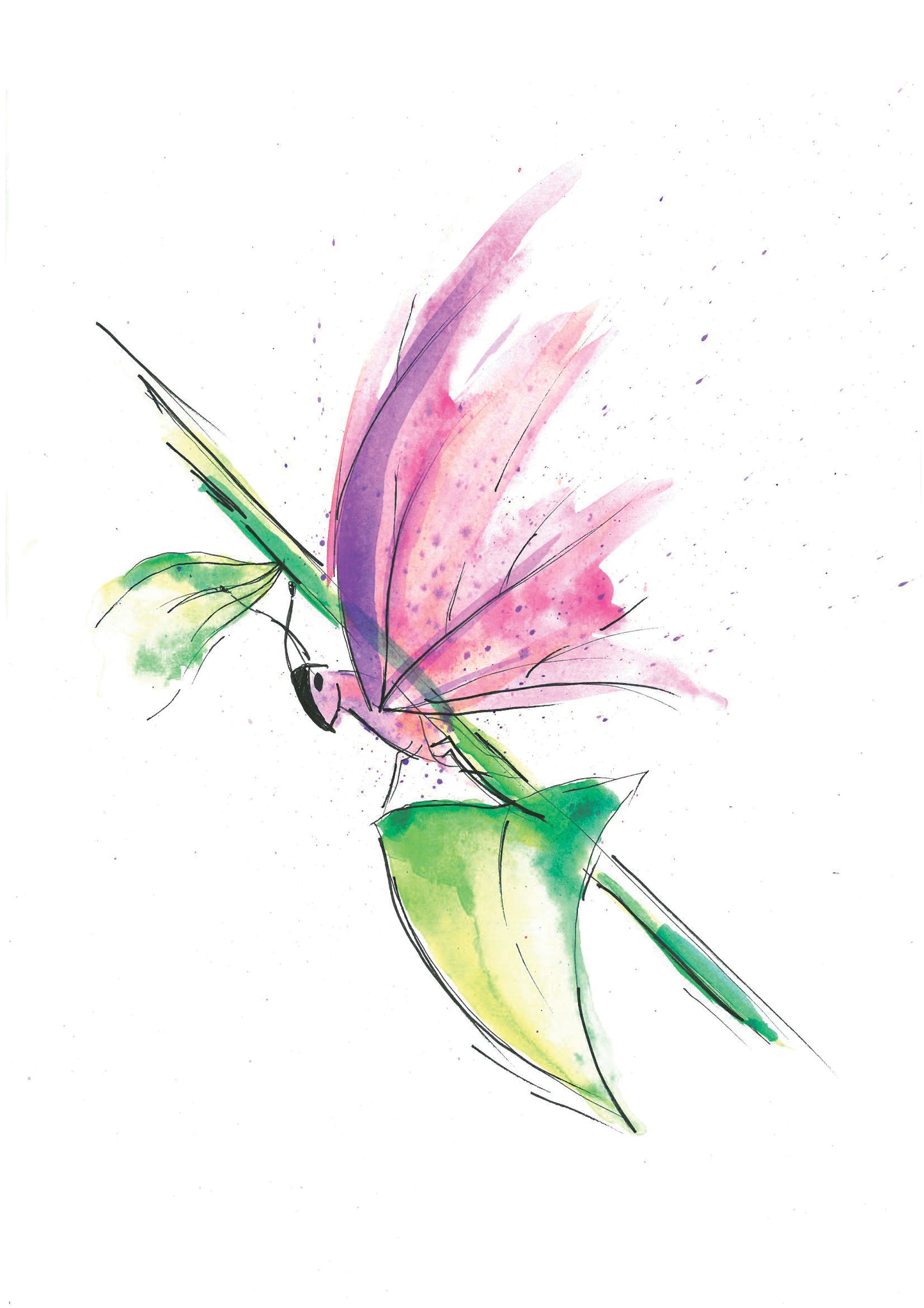 Butterfly - Watercolor Art Print