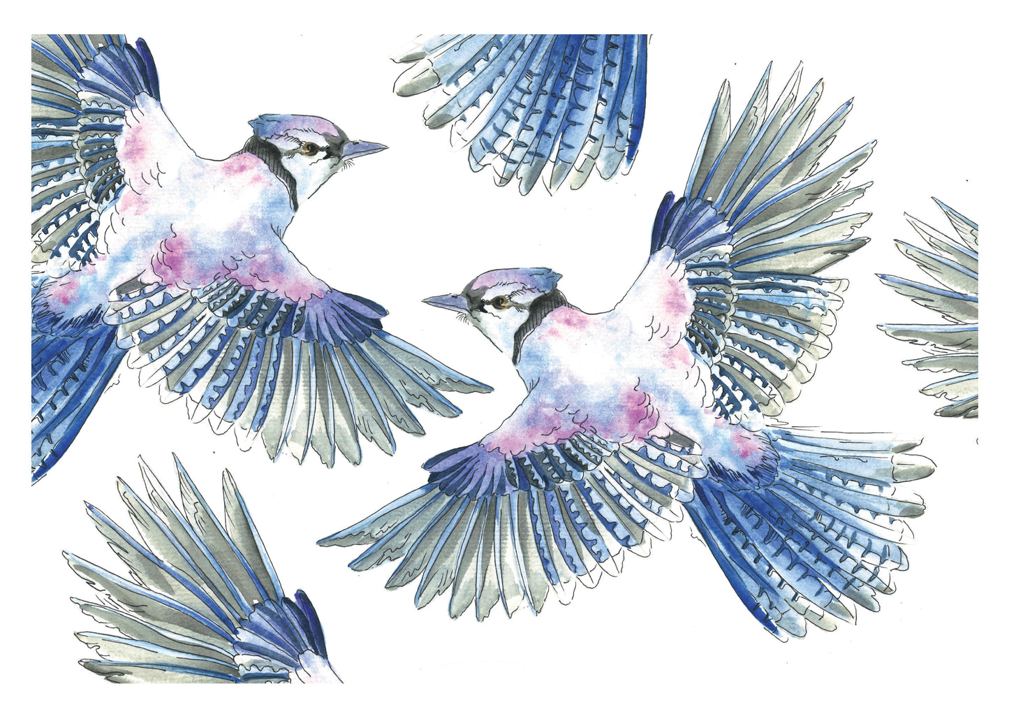 Azure Wings - Watercolor Art print